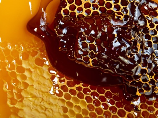 Medovicový med Nektár Natural Polish Immunity 250g 4Bee
