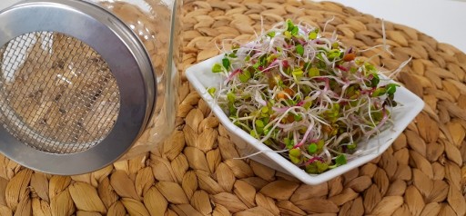 SPICY BLEND semená na klíčky 10g
