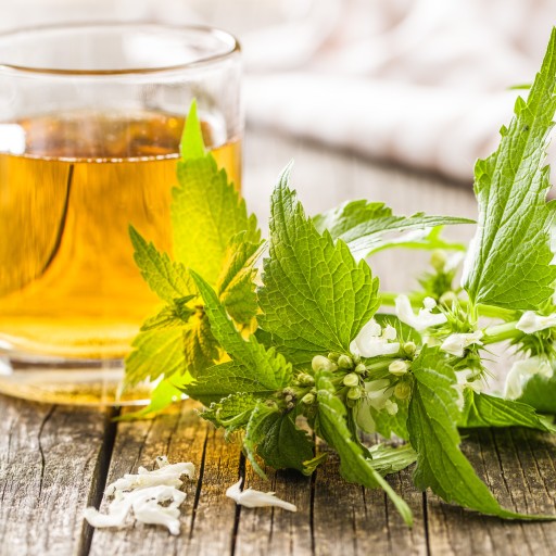 ŽIHĽAVA list, celý, veľký PREMIUM POLAND 100% DETOX