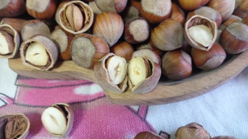Poľské lublinské lieskové orechy v škrupine 1 kg zber 2023
