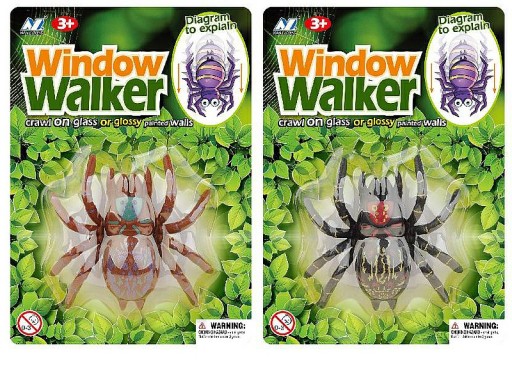 Pavúk Tarantula kráčajúci po skle 10p