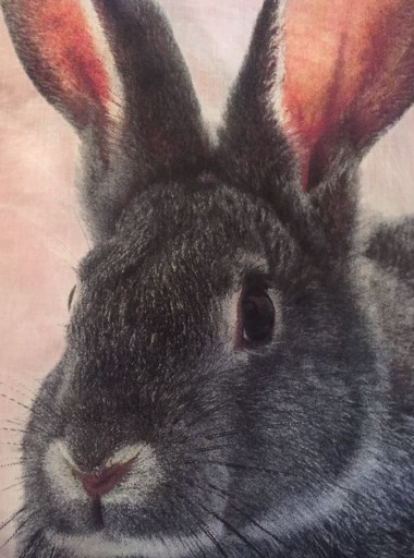 Obliečka na vankúš Králik 5501 40x40cm