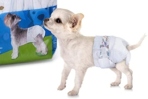 XL plienky pampers pre sučky 10-20 kg / 1 ks