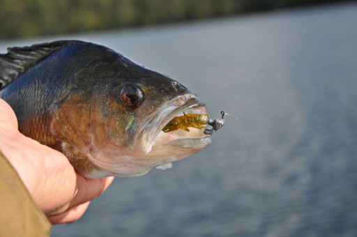 FISHUP REAL CRAW 1,5