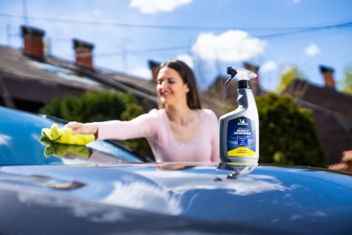 MICHELIN ODSTRAŇOVAČ HMYZU A NEČISTOTY