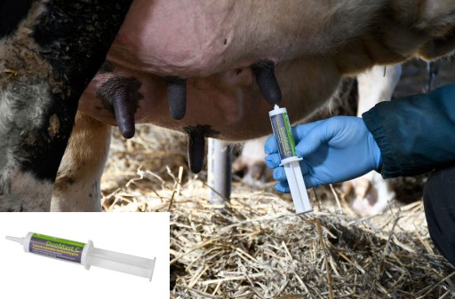 DUOMAST C PREVENTÍVNY PROSTRIEDOK NA MASTITIDU 23 ML