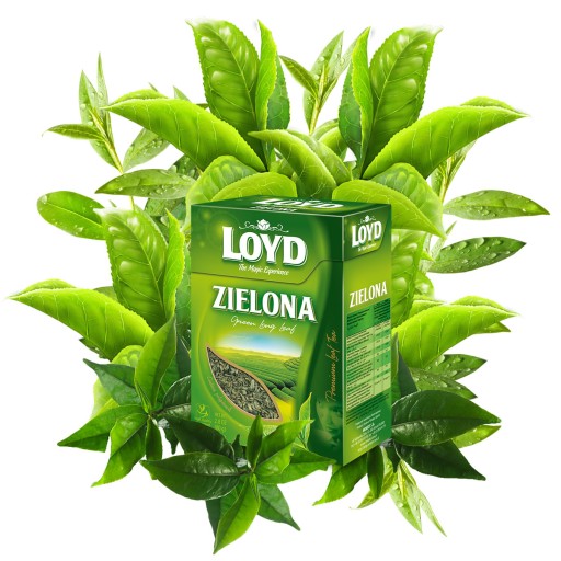 Originálny zelený čaj Najlepšie čínske listy 80g LOYD