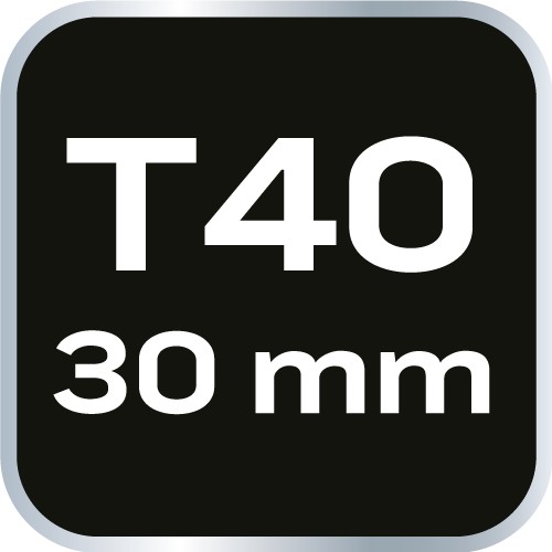 Bit TORX T40 x 30 mm, S2 x 2 ks.
