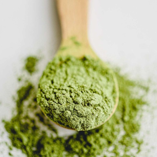 Yerba Mate Green Matcha Ceremonial Premium - 10g