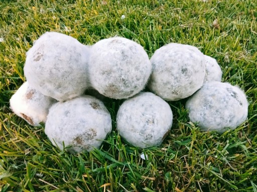 BOKASHI BALLS ČISTENIE VODY JAZERKÁ 1KS