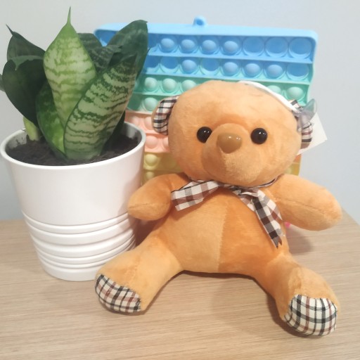 ORIGINÁLNA HRAČKA NA MEDVEĎ MEDVEĎ MASKOT