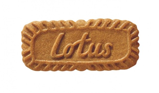 LOTUS - sušienky Biscoff 250G
