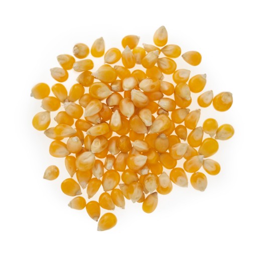 Popcorn kukurica 1kg VYSOKÁ KVALITA - bez soli