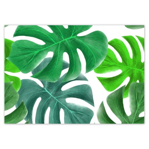 Samolepky A5 LEVEL Monstera Leaves Tropics