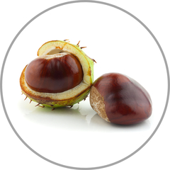 WAX PILOMAX Šampón na tenké vlasy, 10 ml