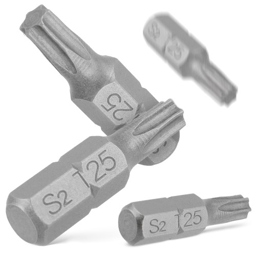 TORX T25x25 SKRUTKOVACÍ BIT 1 KS