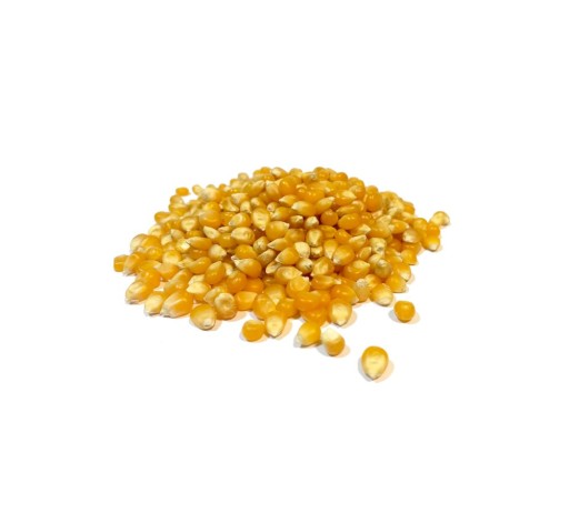 POPCORN KUKURIČNÉ ZRNKY BEZ SOLI 1kg EKOBI