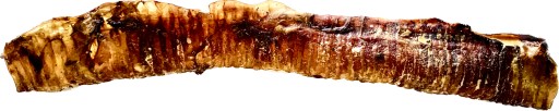 Hovädzie trachea Prírodne sušené XL 1 ks 40 cm