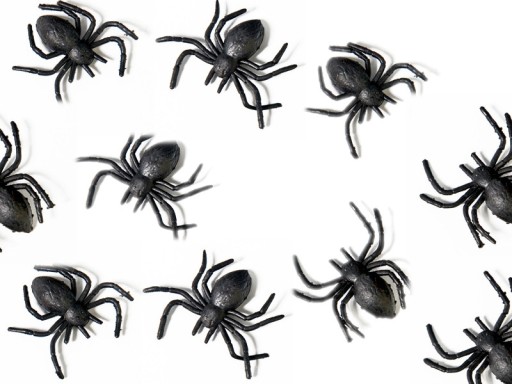 SPIDER HALLOWEEN SPIDERS 10 ks Bal