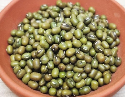 MUNG BEANS zlatá fazuľka, semienka na klíčky 40g
