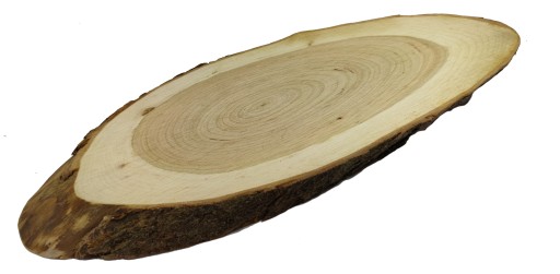 PLÁSOK KONSKÉHO DREVA, ELIPTICKÝ, ŠIKMÝ, 30-35 CM, DEKORATÍVNY PODNÁK, DREVO