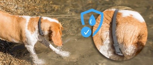 OCHRANNÝ OBLIEROK PROTI KLIEŠŤOM, BLACHÁM, PARAZITOM, ČERVOM PRE STREDNÉHO PSA, 50 CM