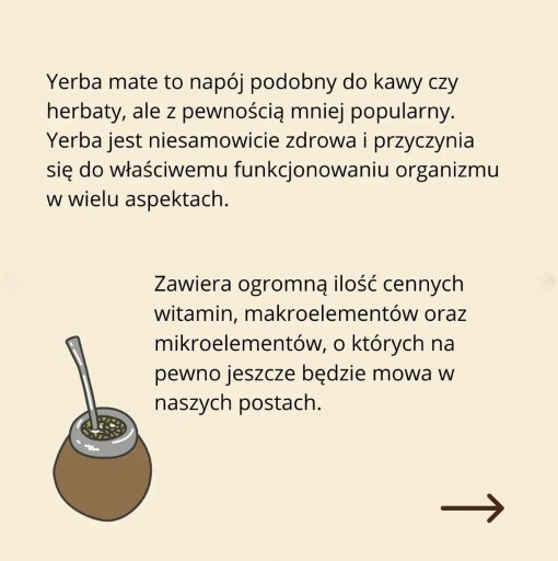 Yerba Mate Brazílsky čaj 200g Flavo