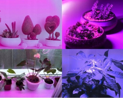 GROW modrý LED pás, pevný, na rastliny, 50 cm