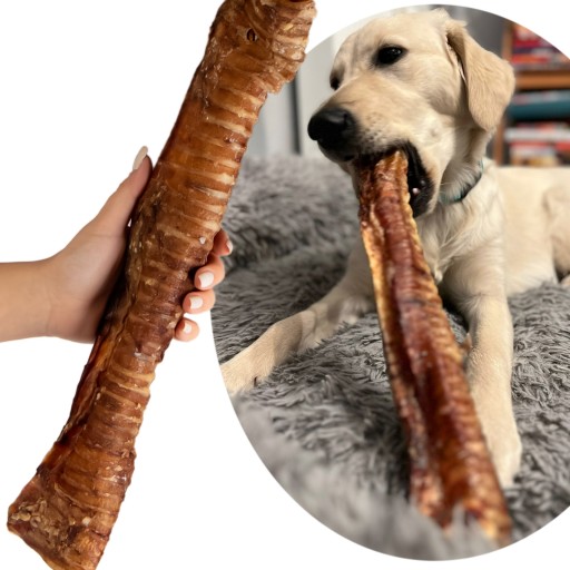 CHRUVKA PRE VEĽKÝCH PSOV PRÍRODNÁ HOVÄDZIA TRACHEA, VEĽKOSŤ XL