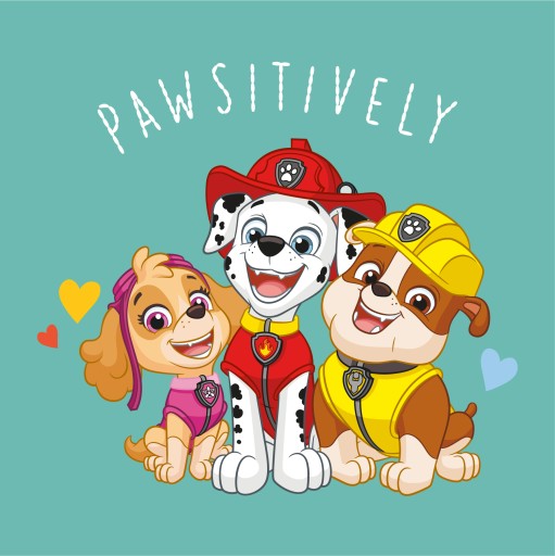 Uterák Magic Towel 30x30 Paw Patrol