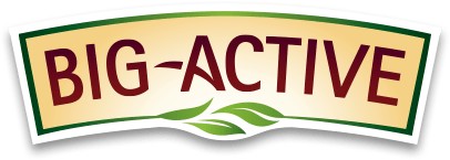 BIG-ACTIVE Zelený čaj LIME TANGERIN 20