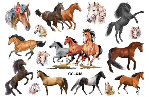 Odnímateľné tetovanie pre deti HORSES CG548