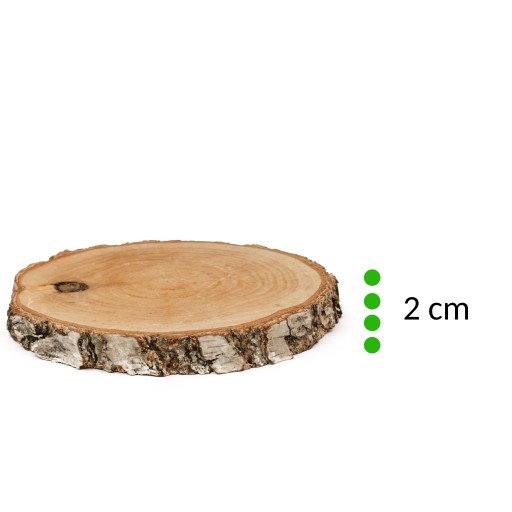 Drevený plátok s priemerom 15-20 cm, hrúbka 2 cm - 1 ks