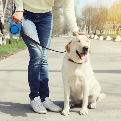 VODÍTKO PRE PSA MAČKU AUTOMATICKÁ PEVNÁ PÁSKA 5M SO ZÁMKOM 15KG