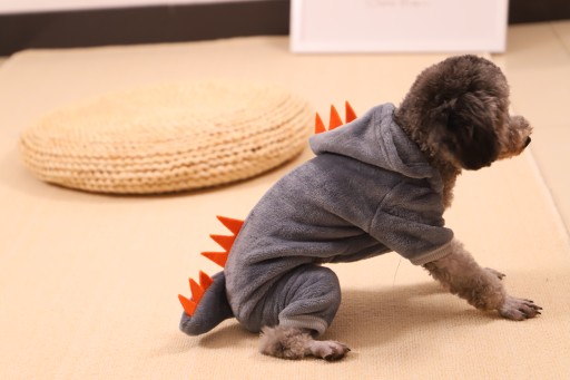 MIKINA DINOSAUR PRE PSA OBLEČENIE TEPLÁŠKA ŠEDÁ S