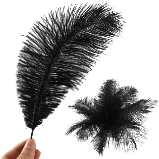 DEKORATÍVNE PIERKO PSTRIE NA SVADOBNÉ ARANŽOVANIE VÁZA 25-30 CM, ČIERNA