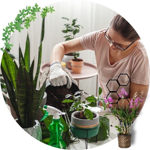 PODPORKA pre rastliny MODULÁRNA kvetinová podpera 58cm sada x2 pre monstera hoi