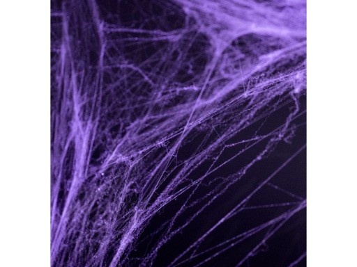 FIALOVÁ HALLOWEEN SPIDER WEB 60G