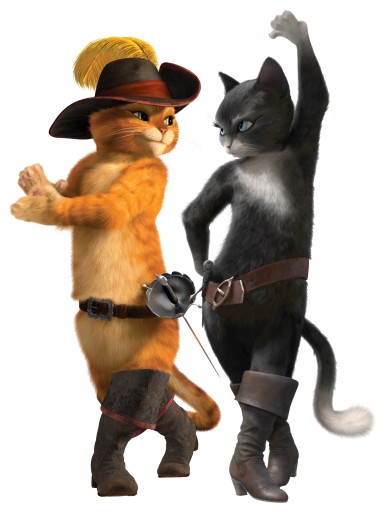 NÁLEPKA NA OKENNÉ SKLO ZRKADLO SHREK CAT MAČKA PAPIER