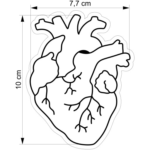MOLDER Krájač na perník MEDICÍNA Kardiológ Ľudské ANATOMICKÉ SRDCE
