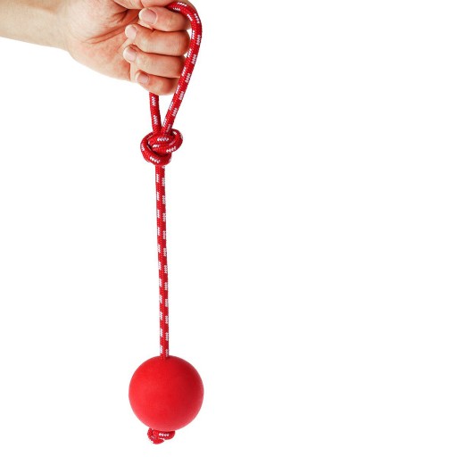 Gumená loptička, výcviková hračka pre psa NA Šnúrke, veľkosť aportu. L