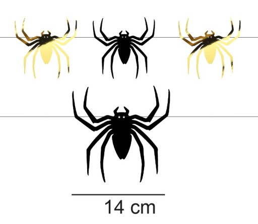 Banner GARLAND SPIDERS HALLOWEEN čierne zlato 9 KS