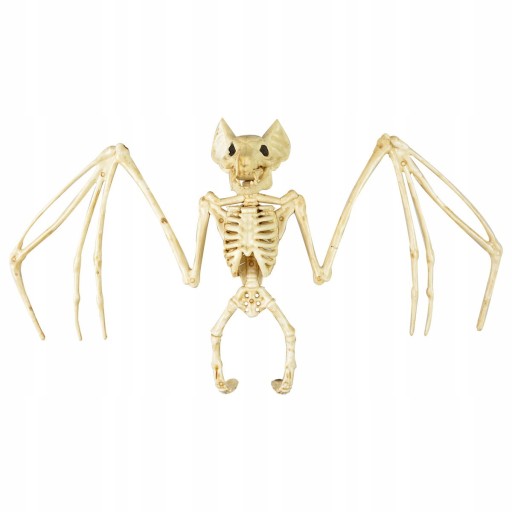 Ozdoby kostry netopiera Halloweenske dekorácie