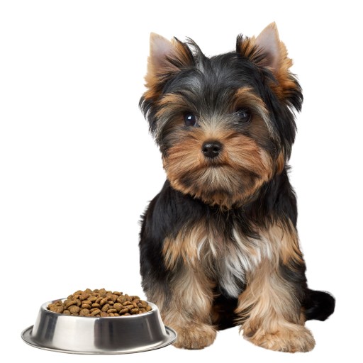EMPIRE PUPPY krmivo pre psov malých plemien VZORKA 50g