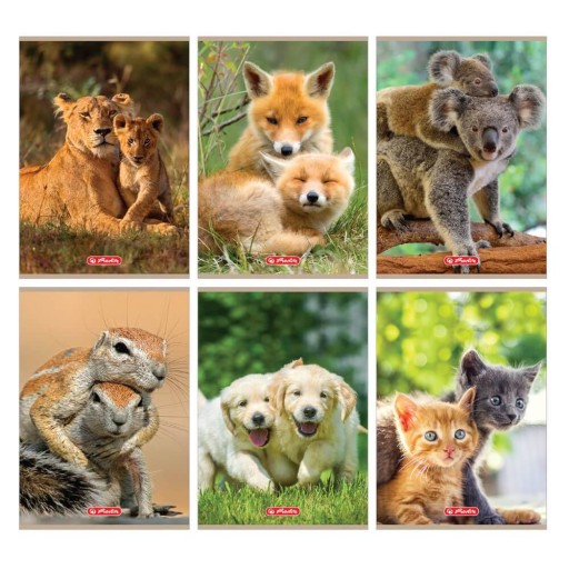 Zápisník A5, 16 listov, 3-riadkový farebný, bez okrajov, 70g/m2 Animals HERLITZ