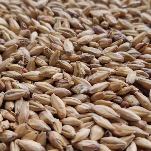 Melanoidínový slad 0,5kg Bestmalz - Nestrelený