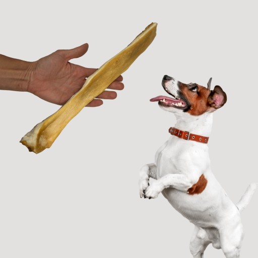 Animal Food pamlsok pre psov Hovädzia koža 30cm 500g