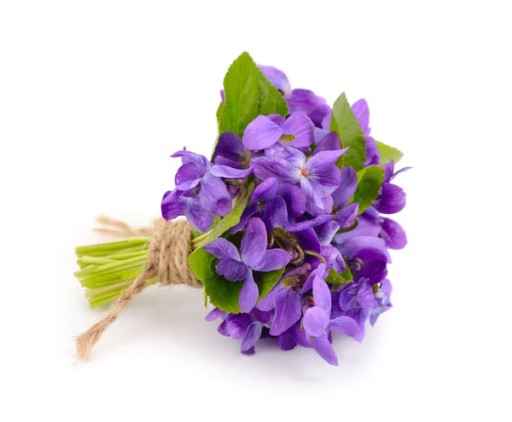 Sviečková vôňa Violet sójový voskový olej na sviečky 10 ml