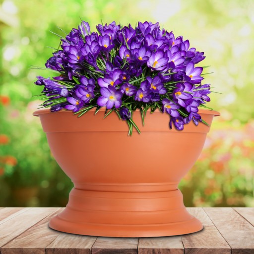 CINTORINOVÝ KVETINÁČ NÁHROBKOVÁ MISKA PLASTOVÝ KRYT TRÁVNIK 22cm