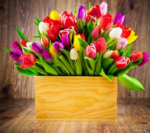 VÔŇA JARNÝCH TULIPÁNOV 10 ML NA SVIEČKY PARAFÍN VOSK